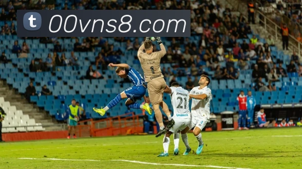 AI Risk Control